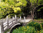 Garden In Honshu