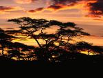 Twilight_over_Tanzania_Africa