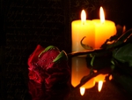 Candle Light n Rose