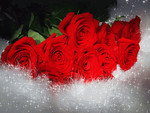 ♥ღ Lovely red roses for my DN friends ღ♥