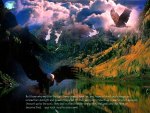 Mountain Eagles