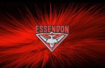 Essendon FootBall Club