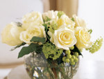 Sunny white roses