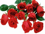 Red roses for my special and lovely friends