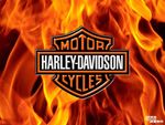 Harley Davidson