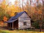 Olde Cabin in the Woods