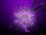 Purple Explosion