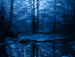 Ever Secluded in Blue