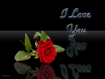 I Love You