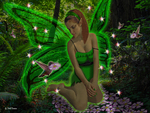 The Fairies Bed
