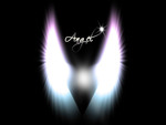 ╰☆╮ღ ❀ Angels Wing❀ღ ╰☆╮