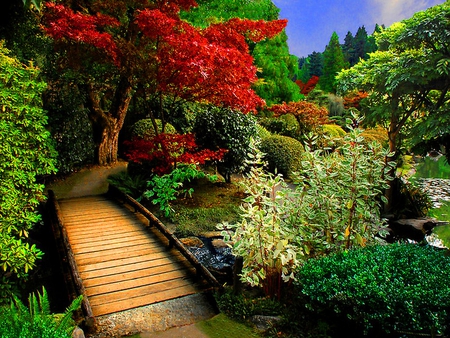 Small wooden bridge - trees, wooden, garden, small, bridge