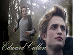 Edward Cullen lovers