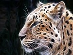 Leopard Art by TitusBoy