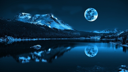 blue moon beauty