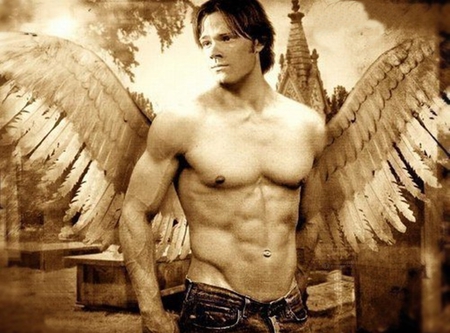 The Sexiest Angel - handsome, angel, man, sexy