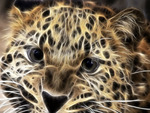 leopard art