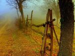 autumn door