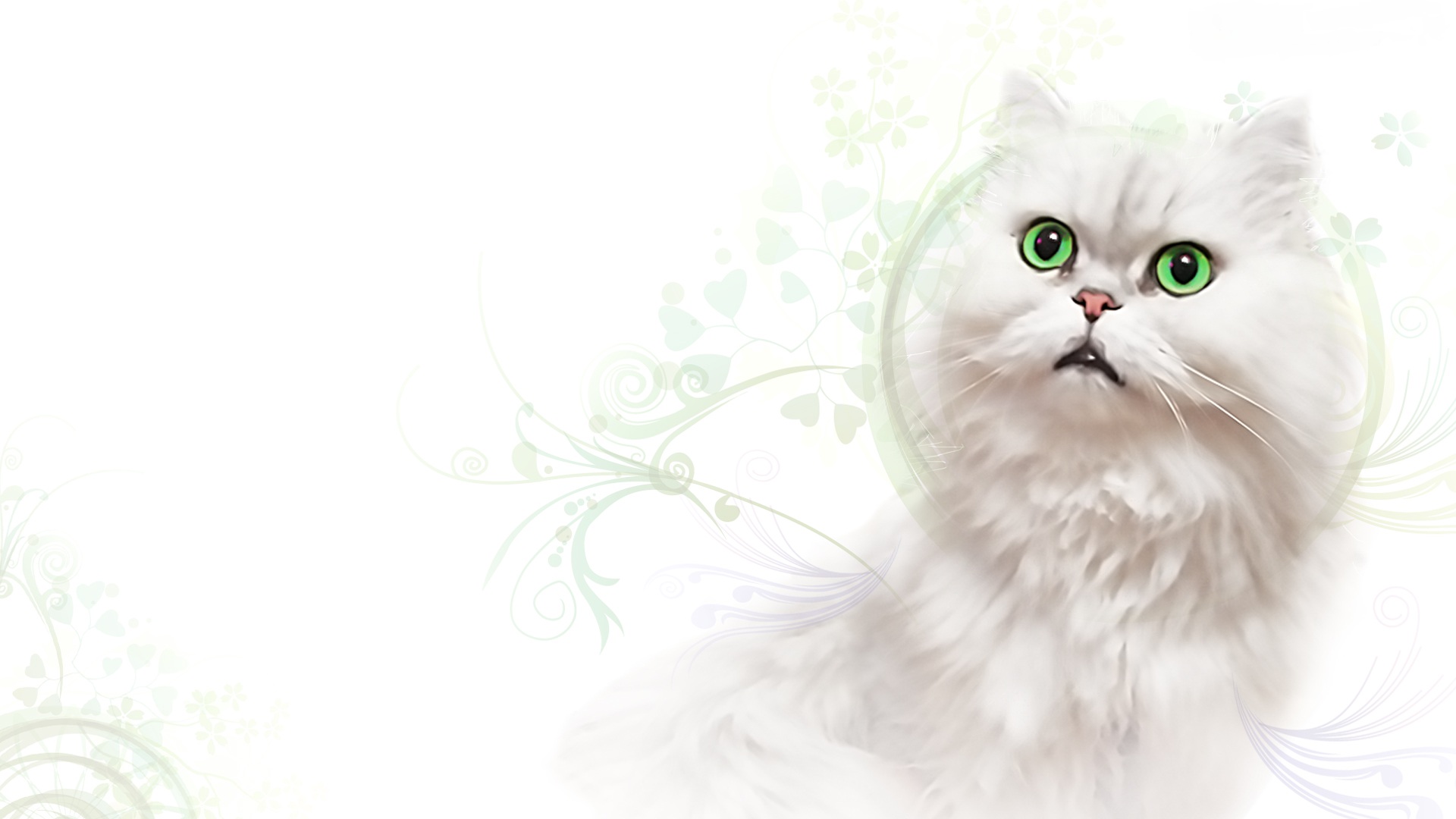 865118-1920x1080-WhiteCat-1920x1080-.jpg?st=3XxoNexIdNFF2YFJAUWKRQ&e=1438185301