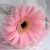 3abak_lyasmin