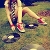4harpere613yh1
