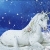 6sophiec752wh7