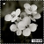 9jasminec643tp5