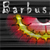Barbus