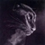 Black-Cougar