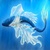 Buddy_Boy