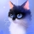 CATtoe972