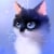 CATtoe972