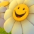 ChociPuppy
