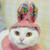 CyootKitteh