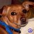 DZRTJUL
