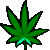 DoctorWeed