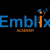 EmblixInisitute