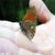 FiiD