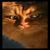 FireCat