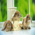 Fluffyoana