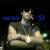 Grebe