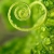 GreenBlanket