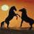HorseLuv1997