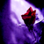ILikeYou