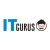 ITgurus1122