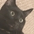 JMG84