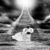 JoeJas
