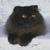 Led1221
