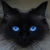MadOldCatLady