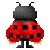 MarciaMara